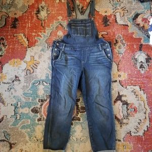 EUC Torrid Overalls